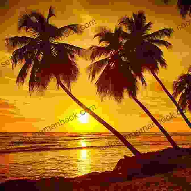 A Breathtaking Sunset Over A Pristine Caribbean Beach. The Trip Of A Lifetime (Caribbean 1)