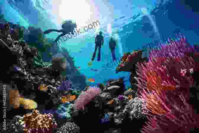A Group Of Snorkelers Exploring A Vibrant Coral Reef Teeming With Marine Life The Trip Of A Lifetime (Caribbean 2)
