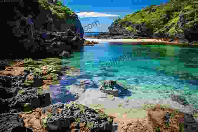 A Secluded Cove With Crystal Clear Waters And Lush Vegetation The Trip Of A Lifetime (Caribbean 2)