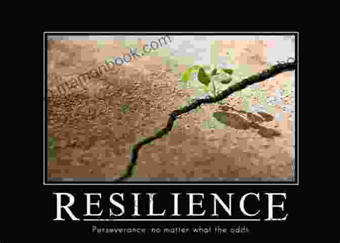 Image Of A Person Demonstrating Resilience The Michelangelo Effect: Keys To Extraordinary Success For Ordinary People