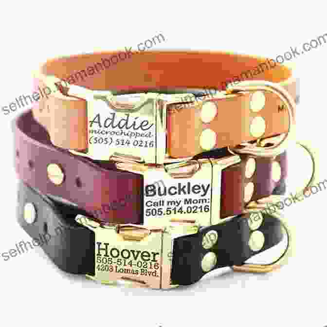 Image Of A Personalized Pet Collar Made From Leather And A Metal Tag. Hip Hamster Projects: Lots Of Cool Craft Projects Inside (Pet Projects)