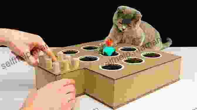 Image Of An Interactive Pet Toy Made From A Cardboard Box And A Ball. Hip Hamster Projects: Lots Of Cool Craft Projects Inside (Pet Projects)