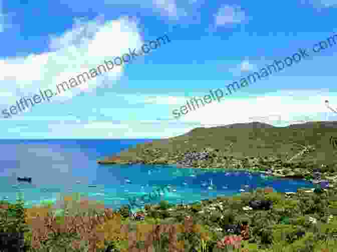 The Idyllic Islands Of The Grenadines, With Their Lush Vegetation And Secluded Beaches. The Trip Of A Lifetime (Caribbean 1)