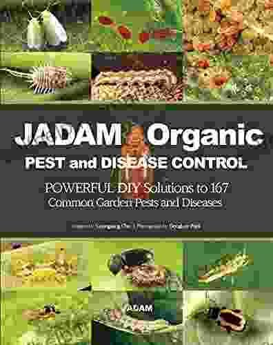 JADAM Organic PEST And DISEASE CONTROL: POWERFUL DIY Solutions To 167 Common Garden Pests And Diseases THE WAY TO INDEPENDENT FROM COMMERCIAL PESTICIDES