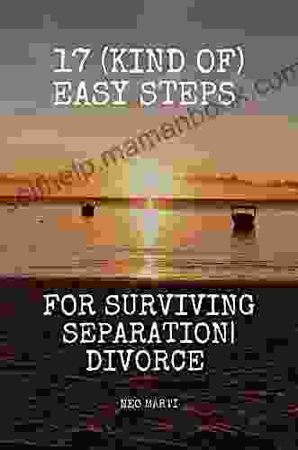 17 (kind Of) Easy Steps For Surviving Separation Divorce: Easy Steps For Surviving Separation Divorce